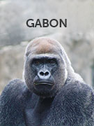 Gabon Gabon