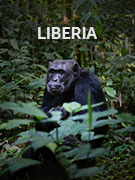 Liberia Liberia