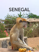 Senegal Senegal